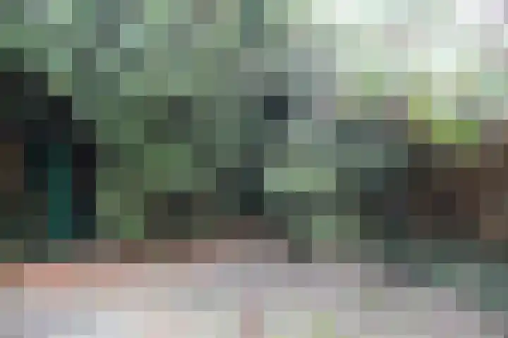 Platanenlaan 6 Zwanenburg thumbnail 20