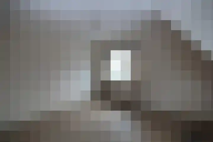 Platanenlaan 6 Zwanenburg thumbnail 35