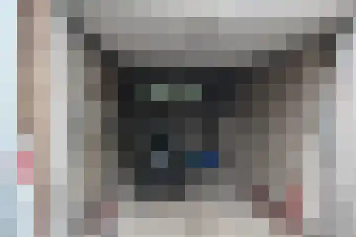 Platanenlaan 6 Zwanenburg thumbnail 41