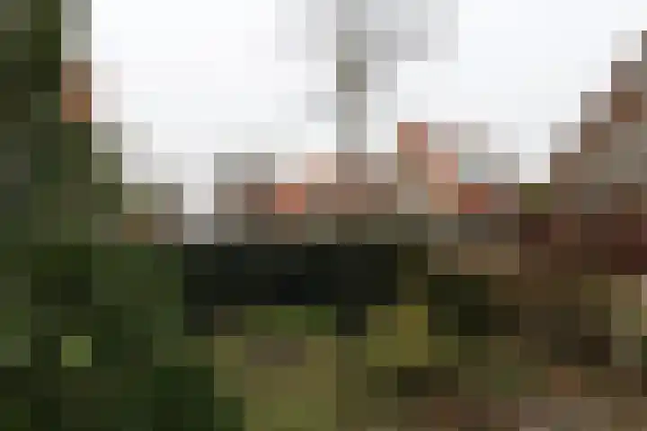Platanenlaan 6 Zwanenburg thumbnail 44