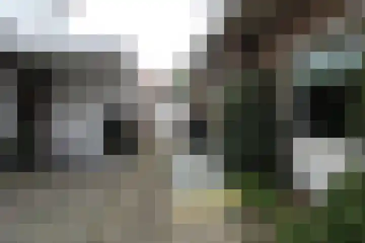 Platanenlaan 6 Zwanenburg thumbnail 46
