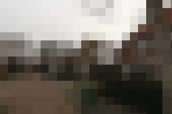 Platanenlaan 6 Zwanenburg thumbnail 49