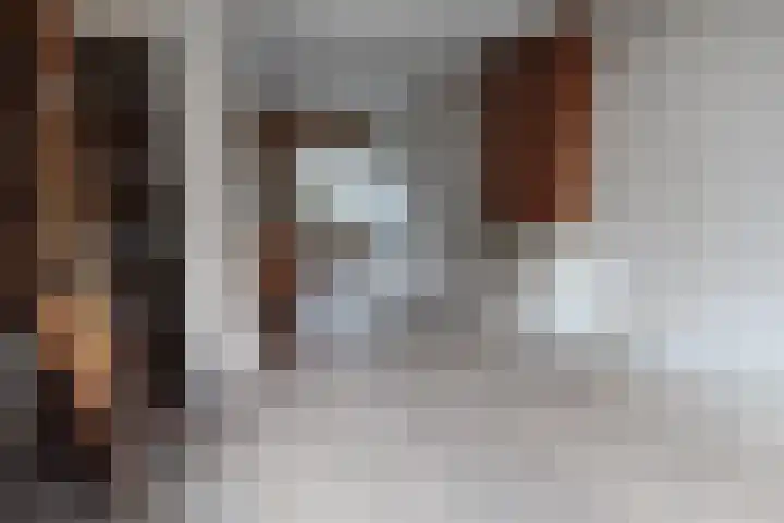 Platanenlaan 6 Zwanenburg thumbnail 7