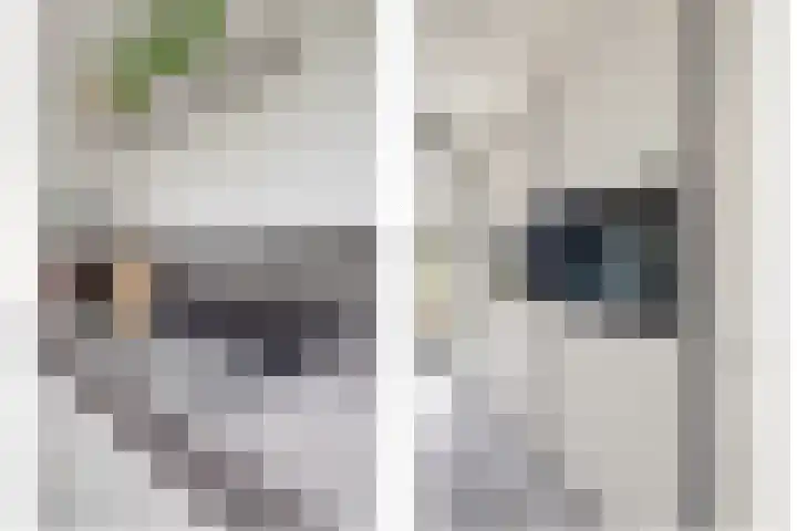 Platinum 75 Arnhem thumbnail 18