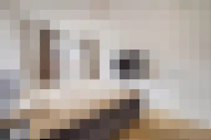 Platinum 75 Arnhem thumbnail 21