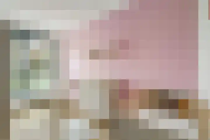 Platinum 75 Arnhem thumbnail 25