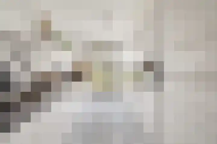 Platinum 75 Arnhem foto 3