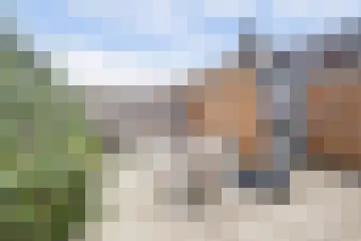 Platinum 75 Arnhem thumbnail 37