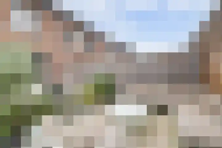 Platinum 75 Arnhem thumbnail 38