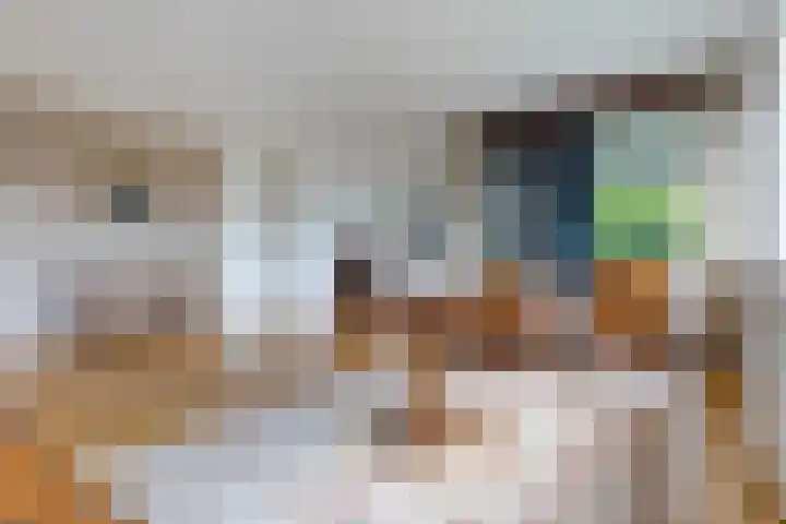 Platolaan 2 20 Assen thumbnail 20