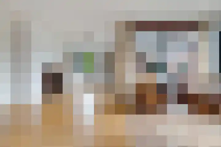 Platolaan 2 20 Assen thumbnail 21