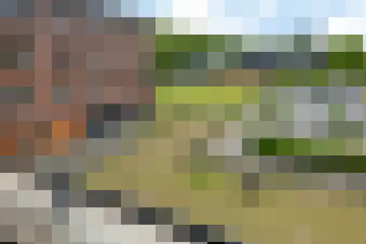 Platolaan 2 20 Assen thumbnail 30