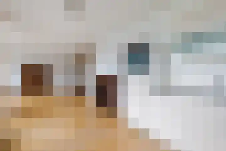 Platolaan 2 20 Assen thumbnail 31