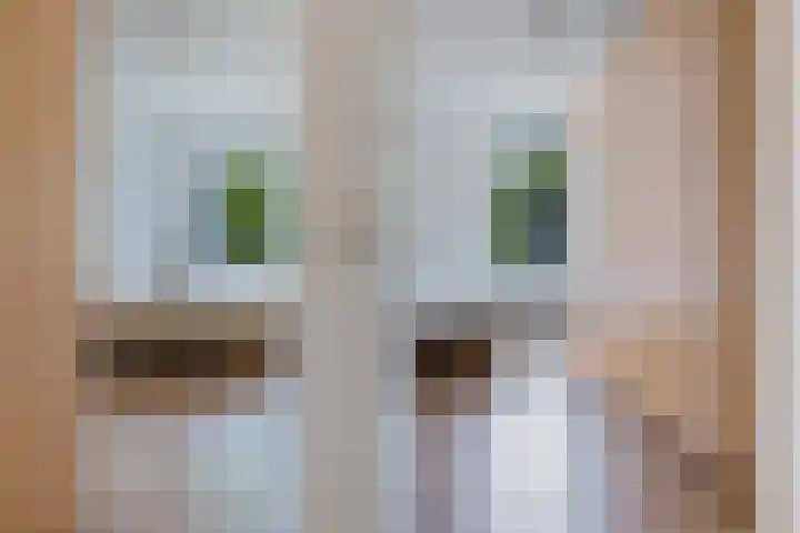 Platolaan 2 20 Assen thumbnail 33