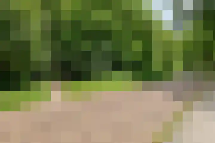 Platolaan 2 20 Assen thumbnail 54