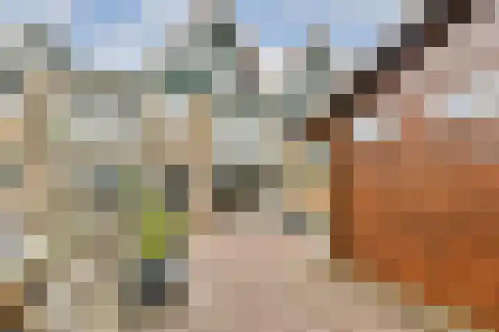 Platostraat 12 Rotterdam thumbnail 5