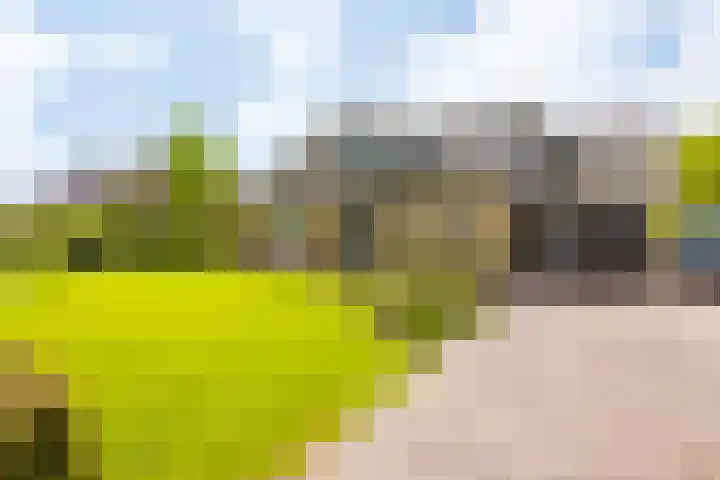 Plattedijk 43 in Lemmer