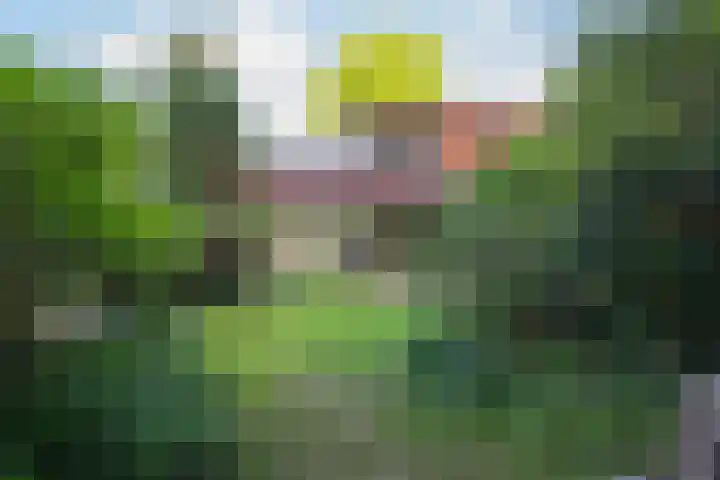 Plattenberg 40 Maarn thumbnail 40