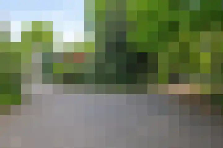 Plattenberg 40 Maarn thumbnail 49