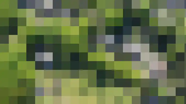 Plattenberg 40 Maarn thumbnail 54