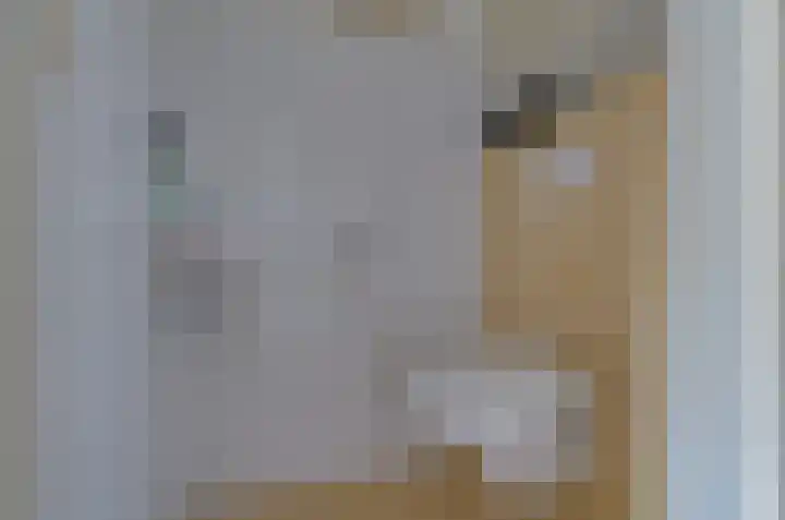 Plattenkamp 20 Beilen thumbnail 20