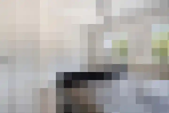 Plattenkamp 20 Beilen thumbnail 25