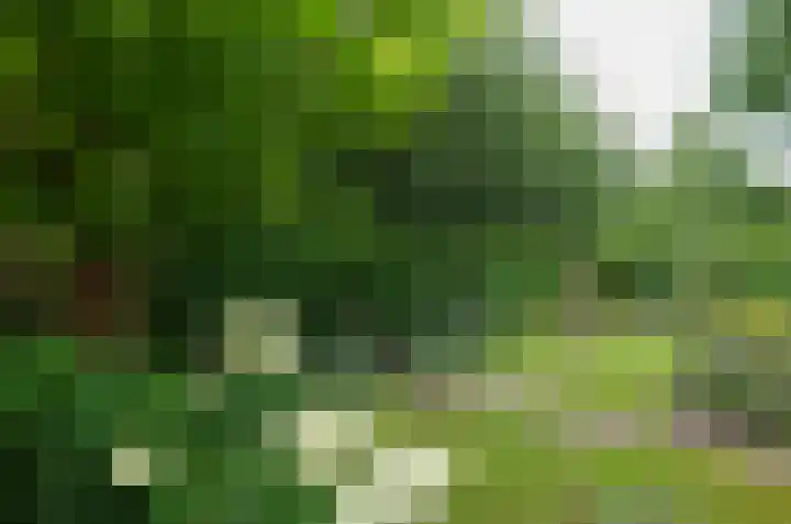 Plattenkamp 20 Beilen thumbnail 31