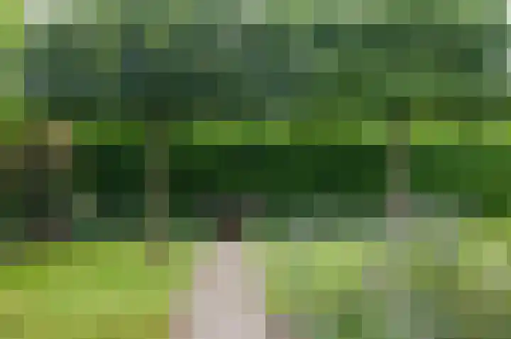 Plattenkamp 20 Beilen thumbnail 32