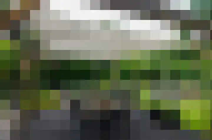 Plattenkamp 20 Beilen thumbnail 33