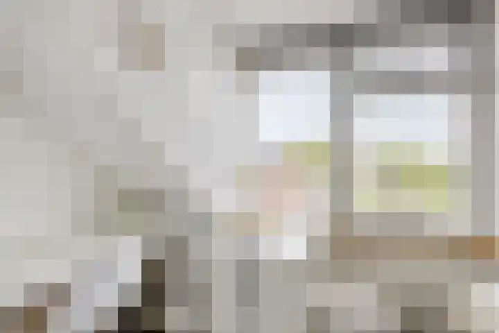 Plattenkamp 20 Beilen thumbnail 51