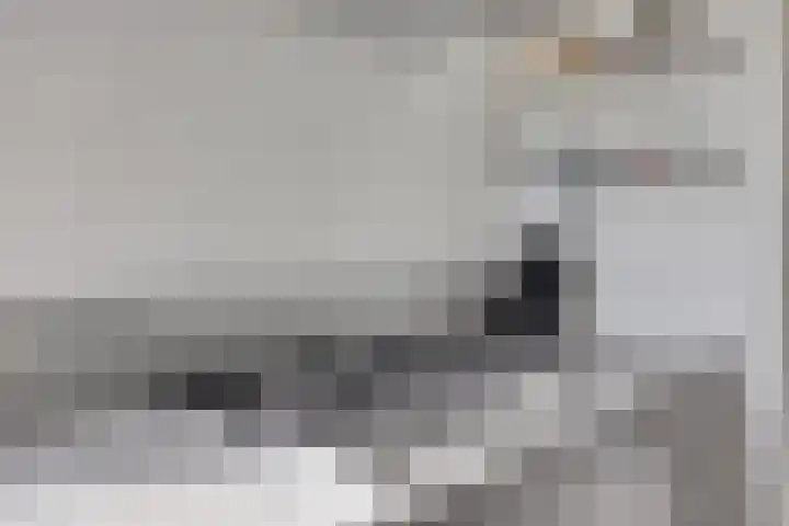 Plecht 9 Oss thumbnail 10