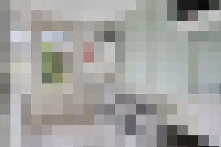 Plecht 9 Oss thumbnail 11