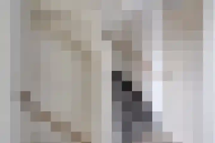 Plecht 9 Oss thumbnail 13