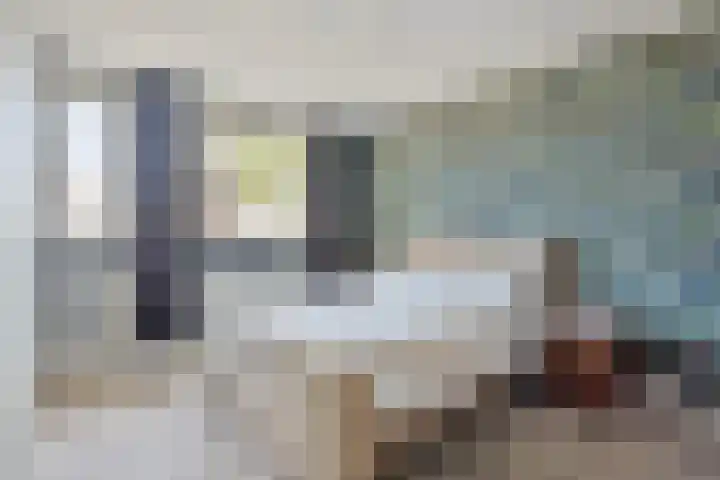 Plecht 9 Oss thumbnail 14