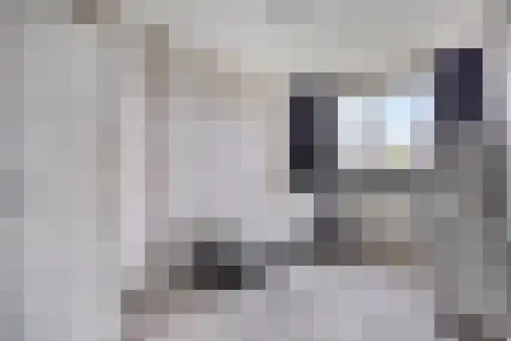 Plecht 9 Oss thumbnail 16