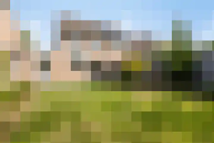 Plecht 9 Oss foto 2