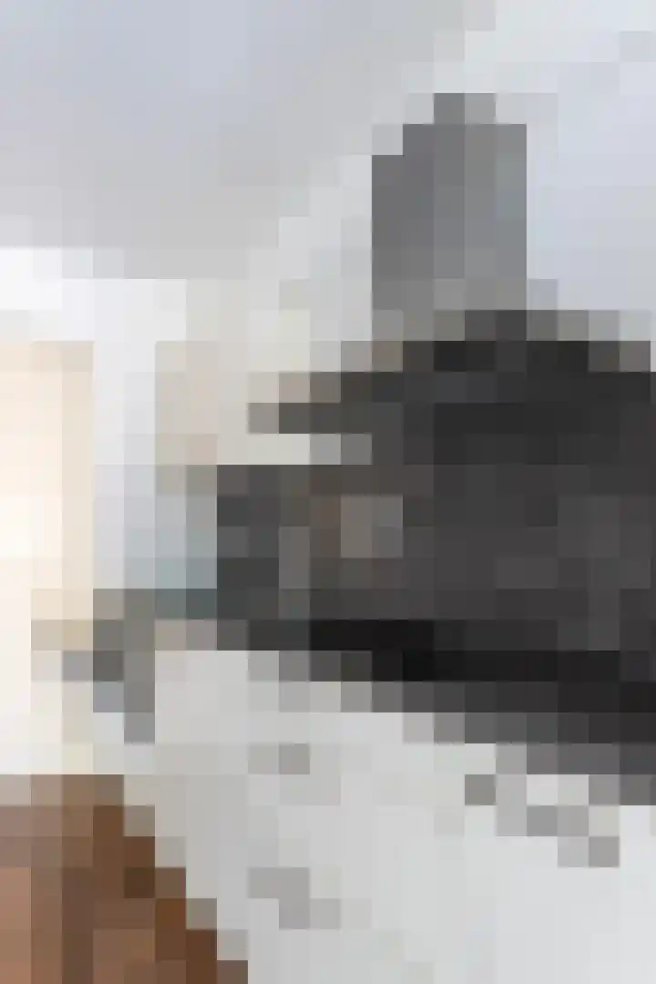 Plecht 9 Oss thumbnail 22