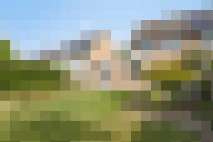 Plecht 9 Oss thumbnail 22