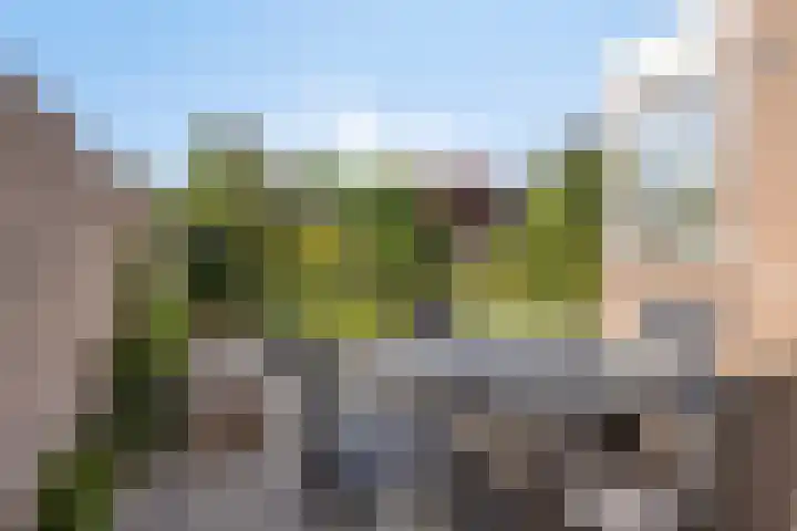 Plecht 9 Oss thumbnail 23