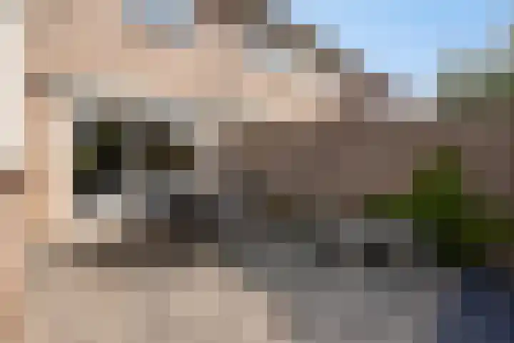 Plecht 9 Oss thumbnail 24