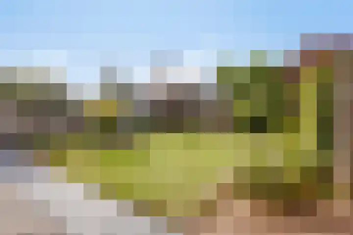 Plecht 9 Oss thumbnail 25