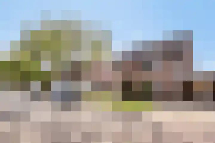 Plecht 9 Oss thumbnail 27