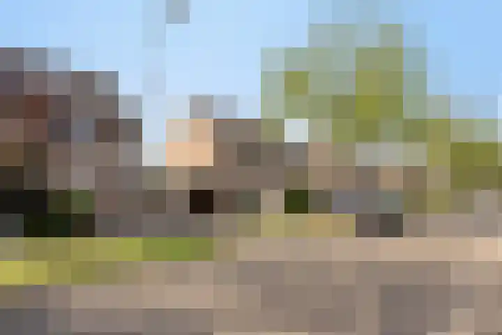 Plecht 9 Oss thumbnail 28