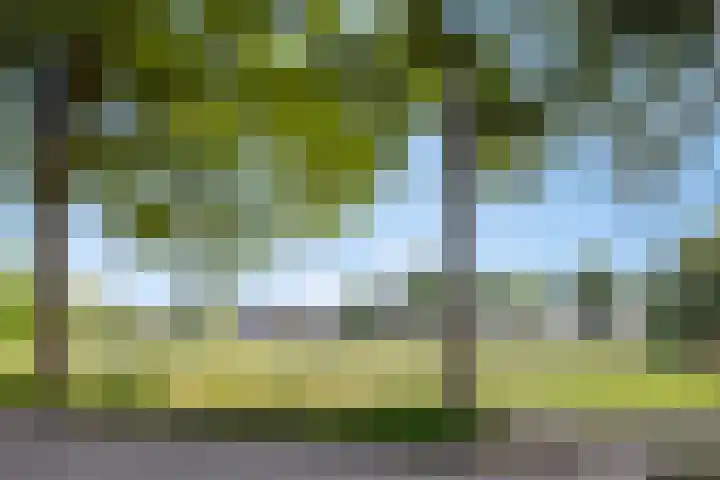 Plecht 9 Oss thumbnail 29