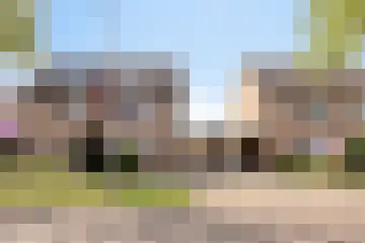 Plecht 9 Oss thumbnail 35