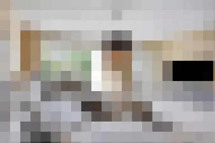 Plecht 9 Oss thumbnail 4