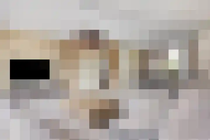 Plecht 9 Oss thumbnail 5