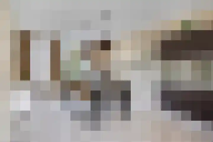 Plecht 9 Oss thumbnail 6