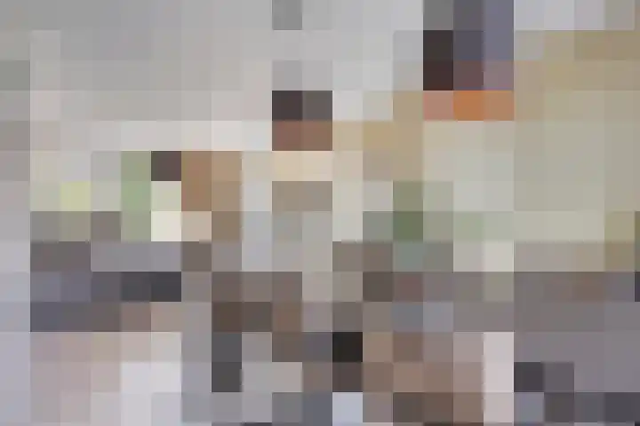 Plecht 9 Oss thumbnail 7