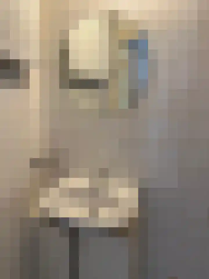 Plein 22 Tiel thumbnail 19